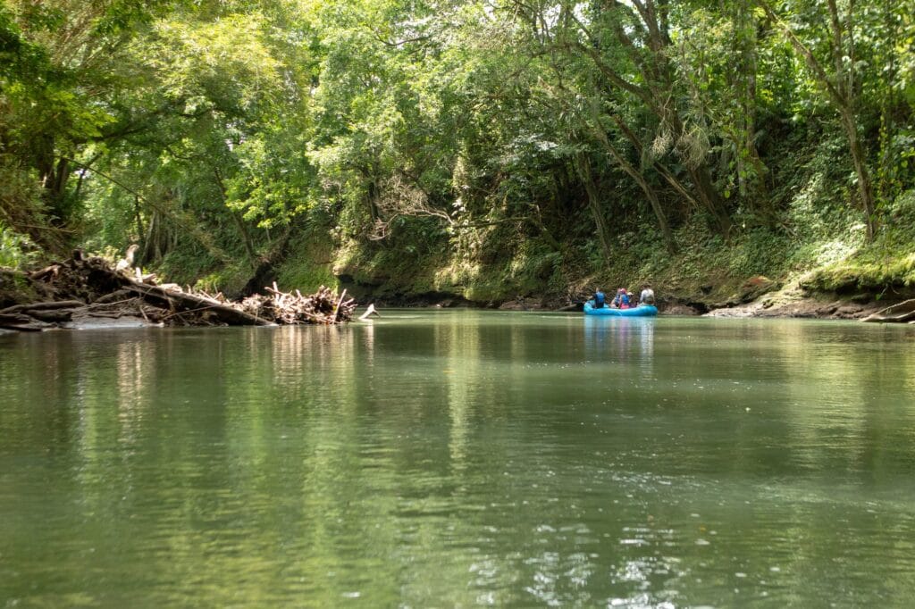 The Peñas Blancas river running under continuous rainforest canopy near La Fortuna, Costa Rica