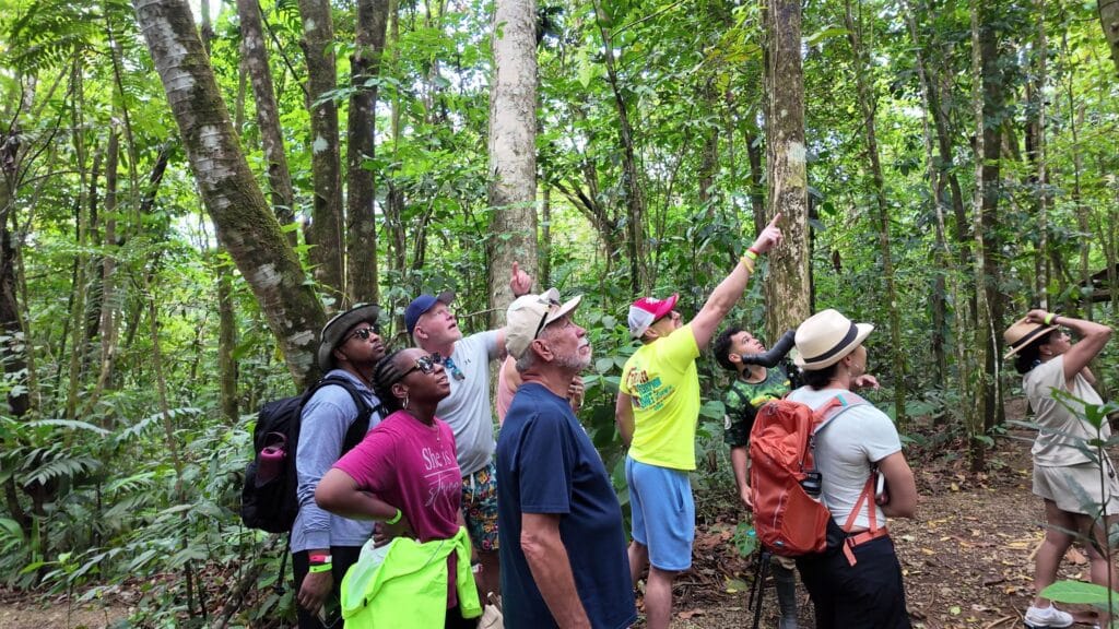 Small tour group watching wildlife on a rainforest trail in La Fortuna, Costa Rica