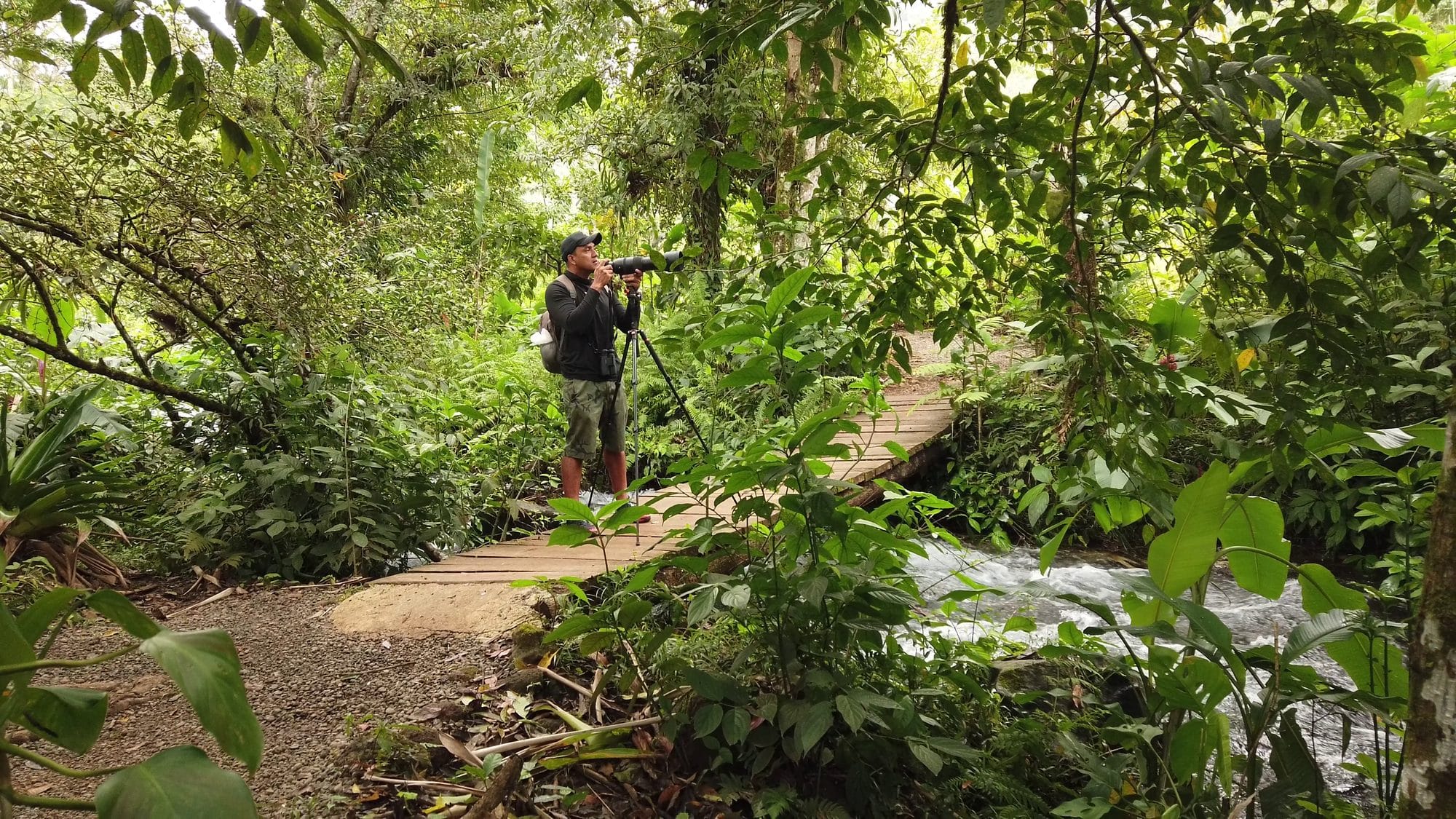Miller Contreras using a spotting scope on a rainforest boardwalk over a river in Costa Rica