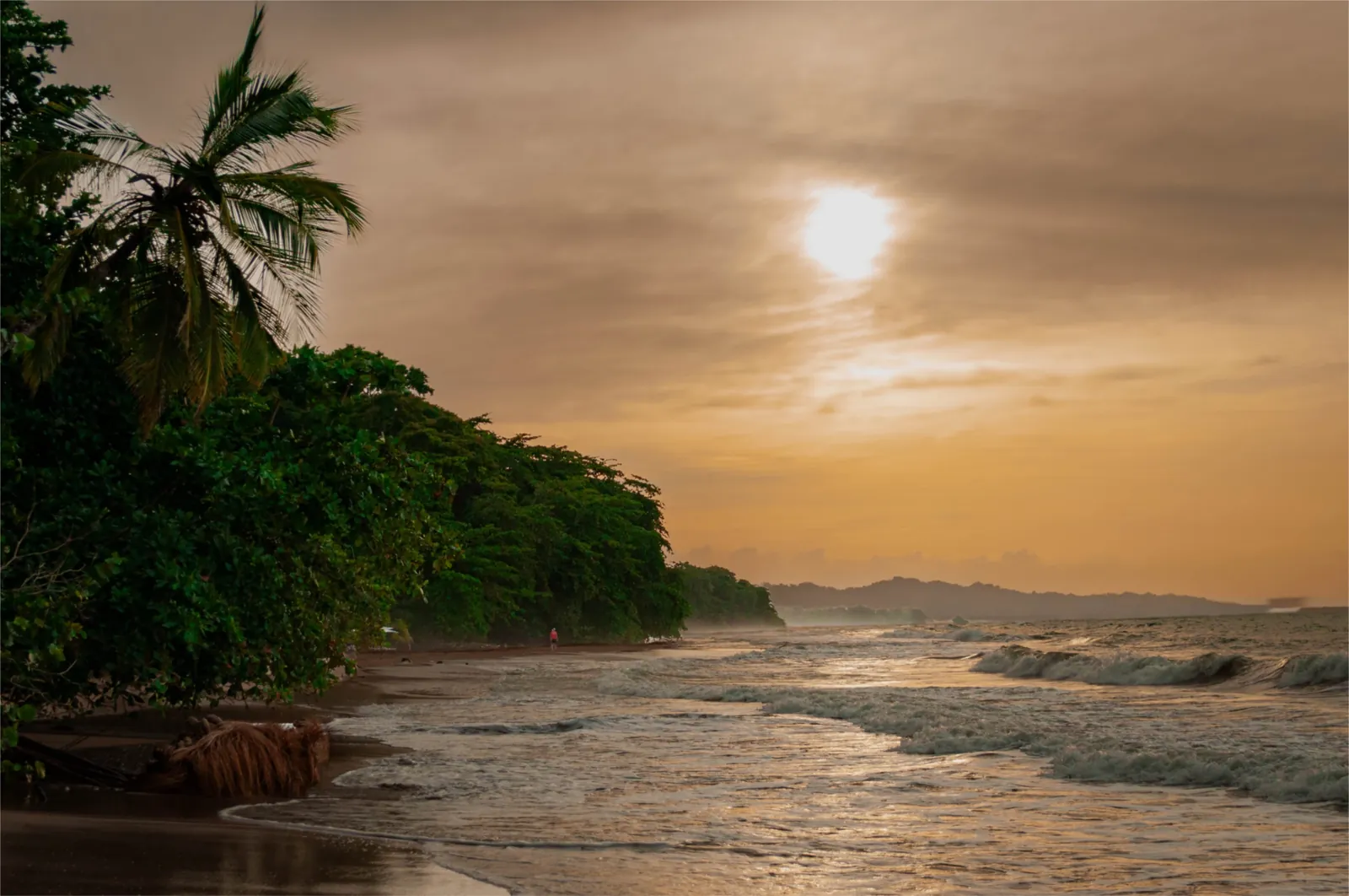 Palm-lined Caribbean beach at golden hour near Puerto Viejo, Costa Rica